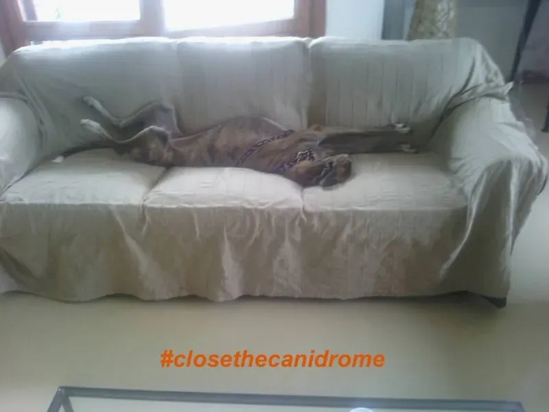 11742834 10153003036503097 1660967941463577686 n