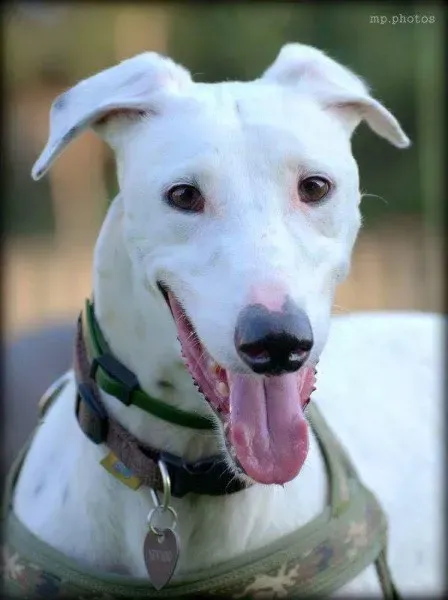 11742875 854751161275407 6719712220601751067 n