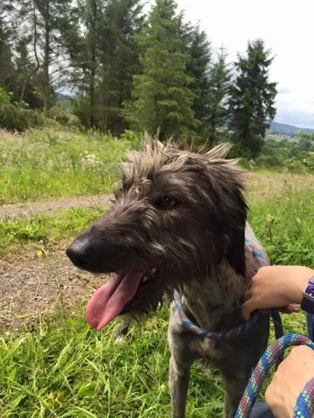 11745473 925249047536121 4180174193628936250 n