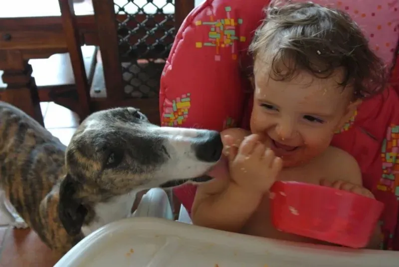 11745599 855361887881001 7061944290254207947 n