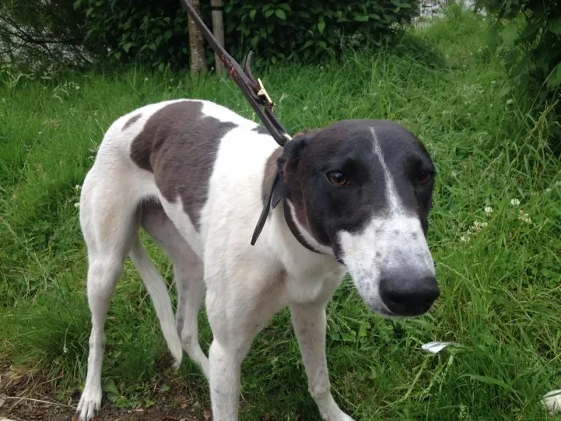 11748747 10152826212345194 272616985 n