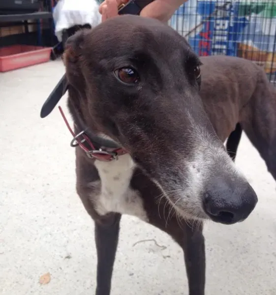 11748761 10152826200915194 327968495 n