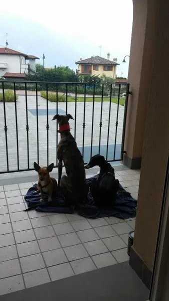 11748840 881905605237654 1540992672 n