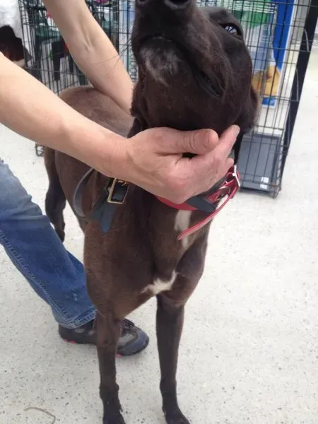 11749242 10152826204400194 1364731968 n