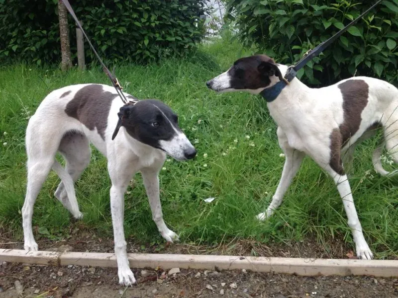 11749260 10152826212200194 850202676 n