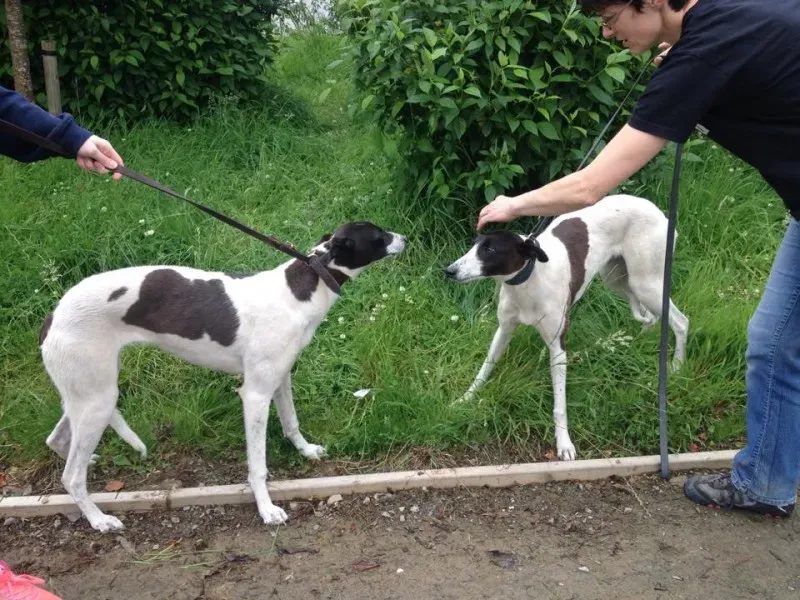 11749372 10152826211960194 2114389811 n