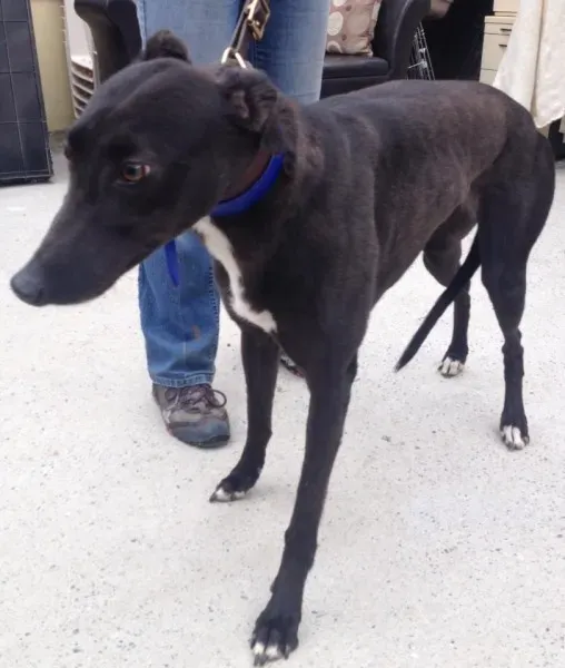 11749399 10152826207320194 1612470808 n