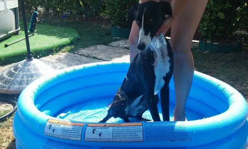 11749629 881906155237599 1535642705 n