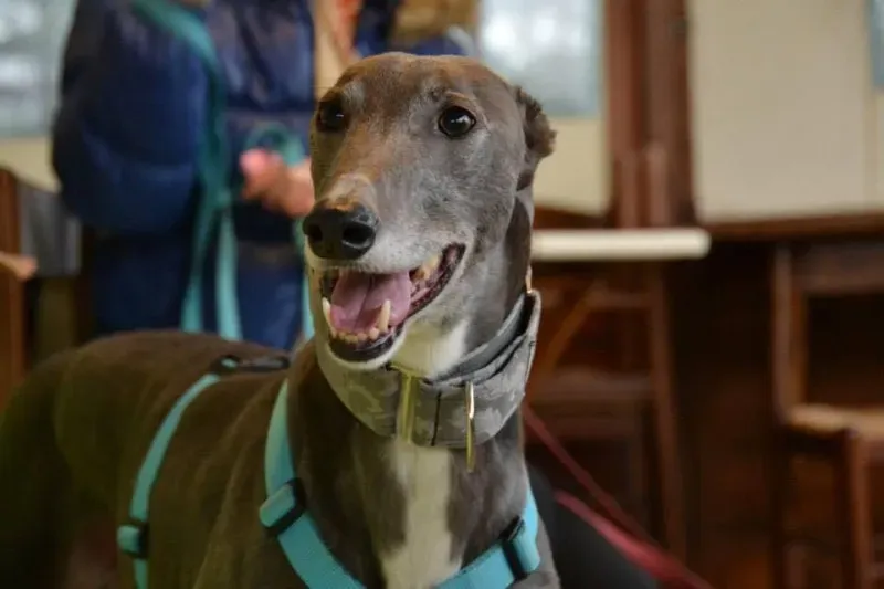 11750651 860155944068262 3273828652820290954 n