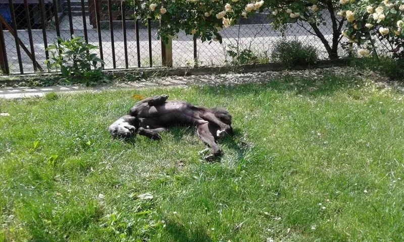 11751926 858587374225119 5371799537621415649 n