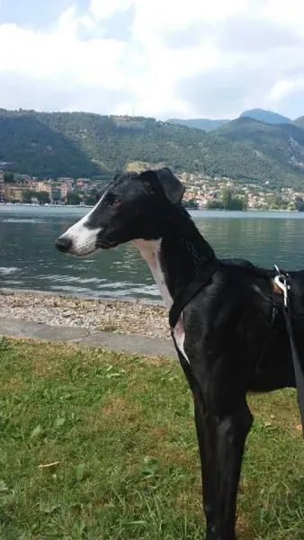 11753772 881905321904349 1121720169 n