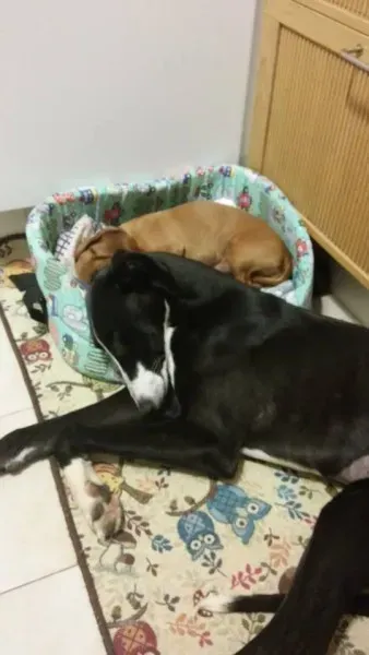 11753839 881905675237647 601945621 n