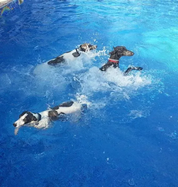 11755148 859554830795040 7090497646903936580 n