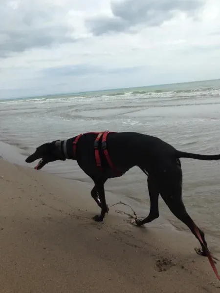 11755162 856921581058365 5504184728569748619 n