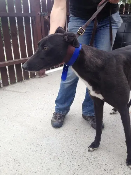 11756518 10152826207290194 804733752 n