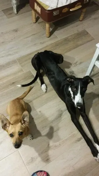 11756674 881905331904348 1351749977 n