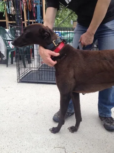 11758871 10152826204710194 466922915 n