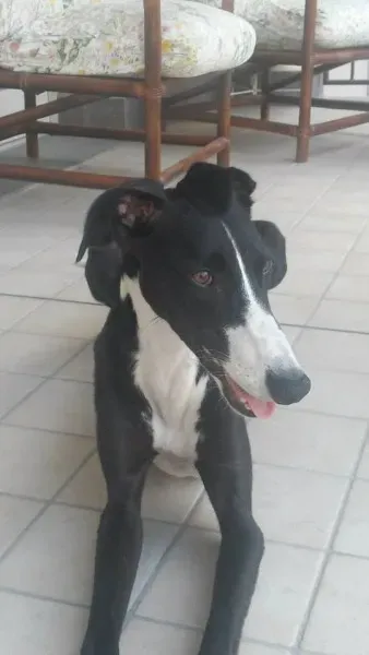 11759020 881905678570980 1939920765 n