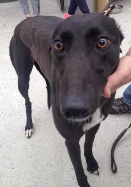 11759538 10152826207350194 140687181 n