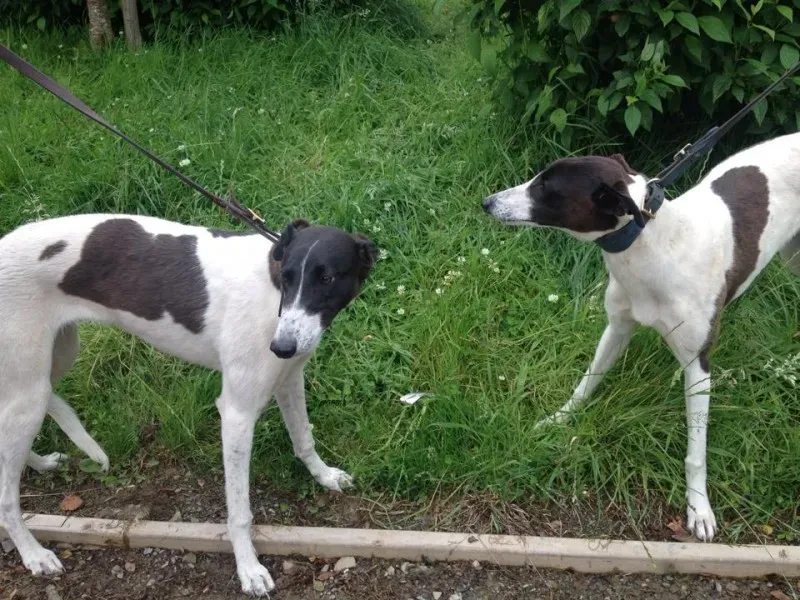 11759592 10152826212035194 1213619789 n