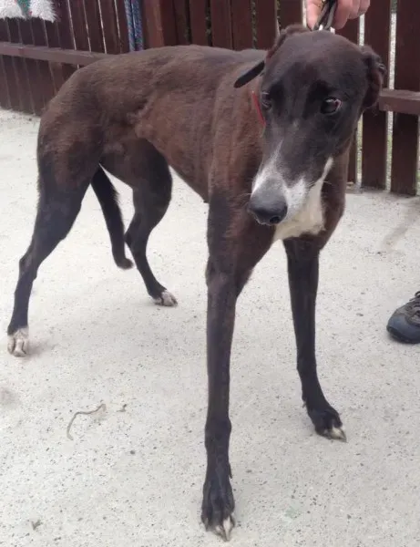 11759666 10152826200890194 1752926418 n