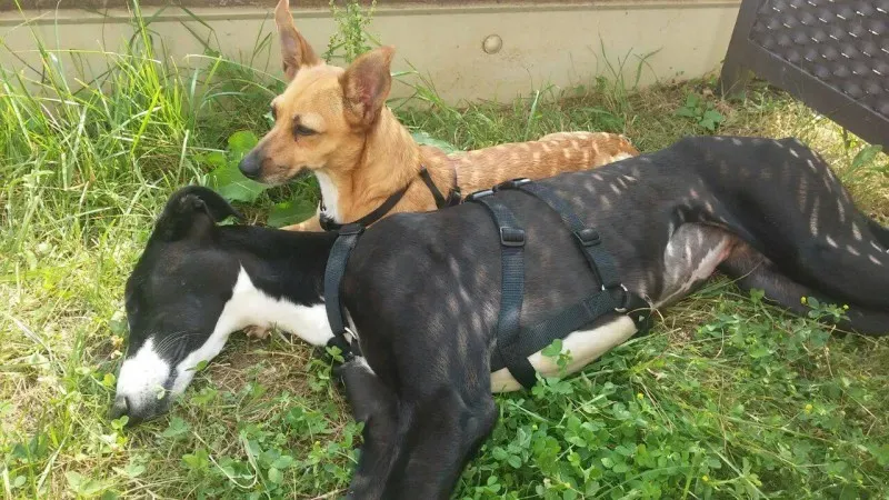 11760607 881905668570981 751282465 o