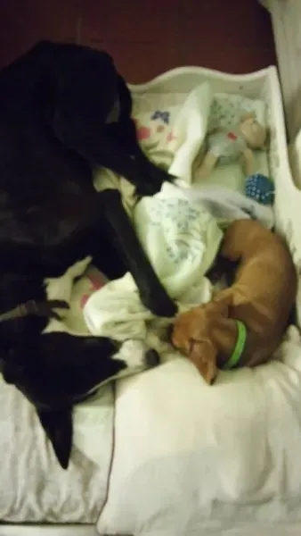 11774629 881905658570982 1912494262 n