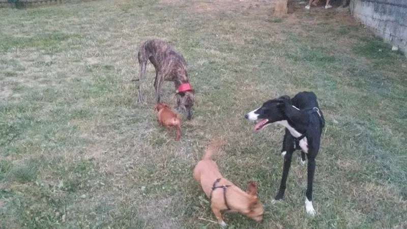 11778131 881905688570979 498471273 n