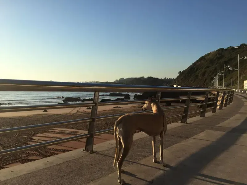 11794143 496279803862071 4888945996925152312 o