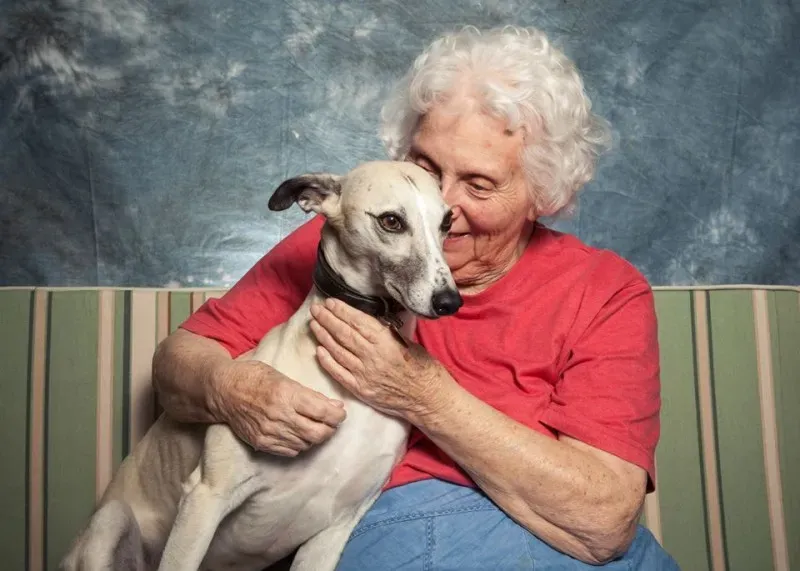 11796292 1031242243574171 2447681259920399544 n