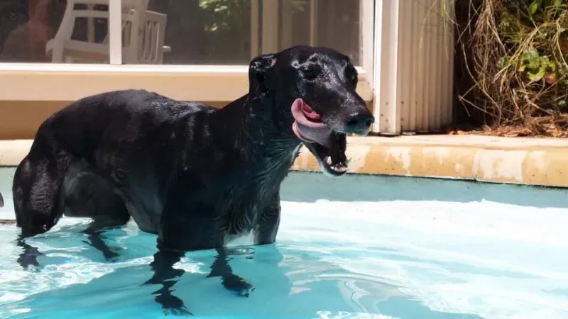 11800106 862668283817028 6117167667221635442 n