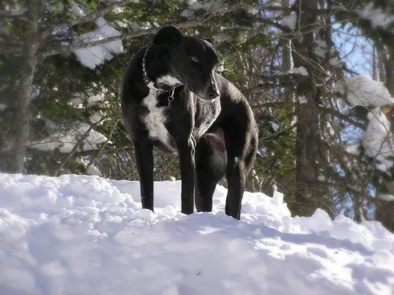 11811340 864847630265760 1169939736505207745 n