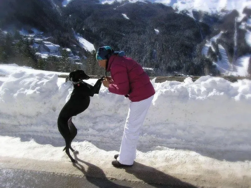 11811474 864847743599082 5844949704447973564 n