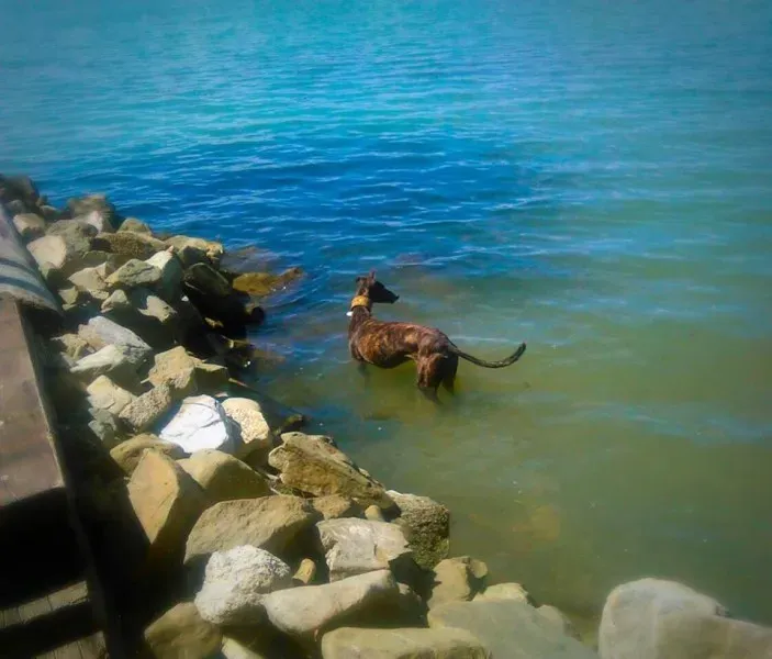 11811481 866577523426104 1462431243118393985 n