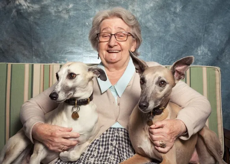 11813276 1031242440240818 5510984395878210338 n