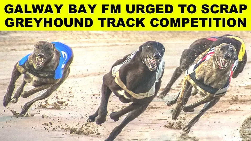 118221338 3184306505018219 1933438887007204570 n