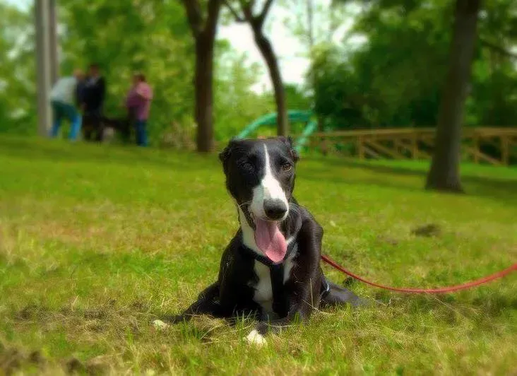 11822738 866561763427680 4106060366282956105 n