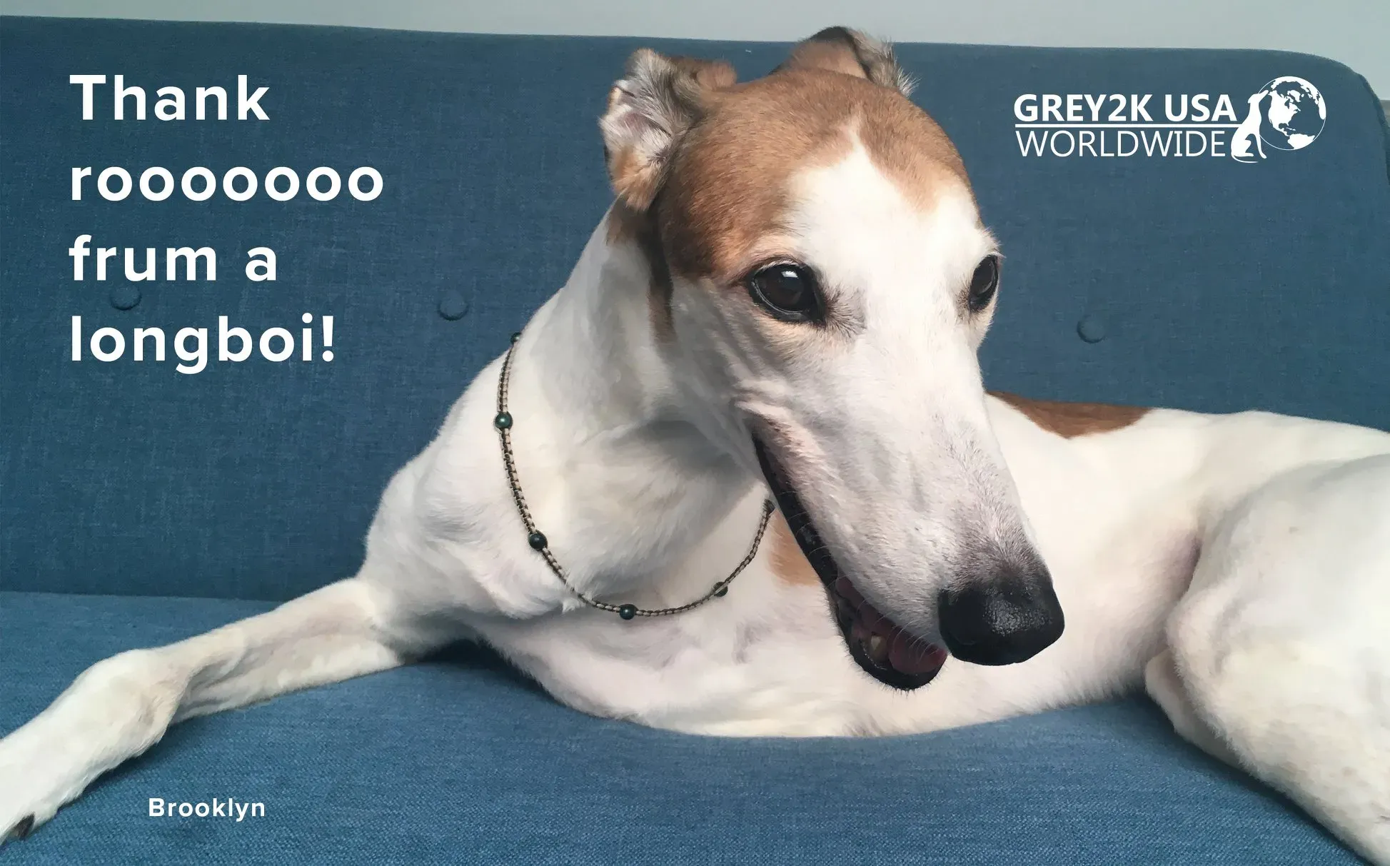 118262587 10157530714178354 5270195228007043192 o