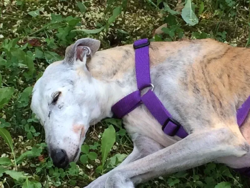 11831751 732341953558883 8486293221202258282 n