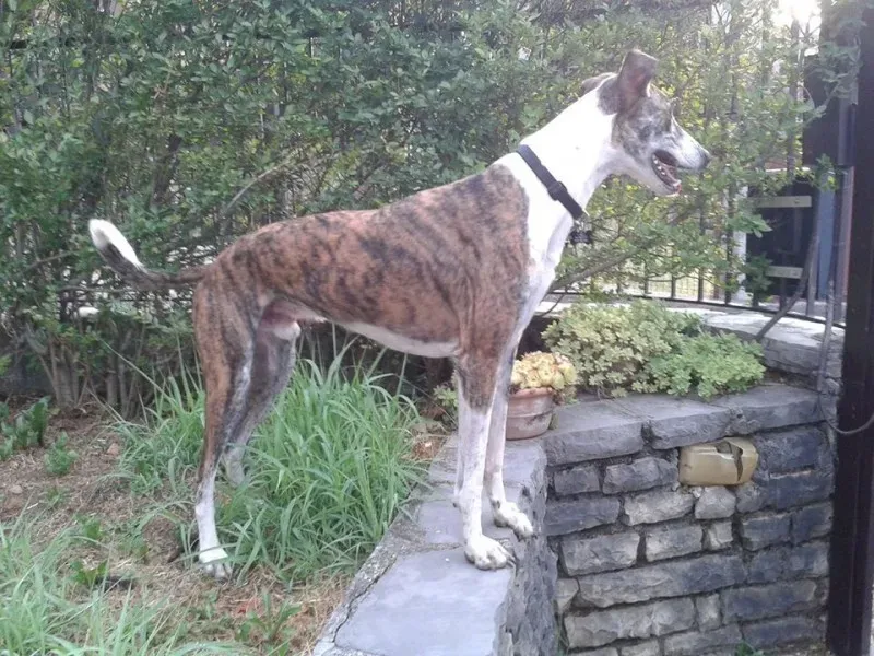 11834921 10204968303783647 4706213813503548713 o