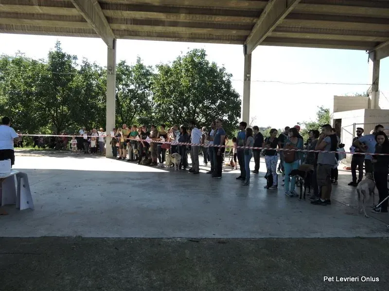 11836785 894618040622052 4217418991953785321 n