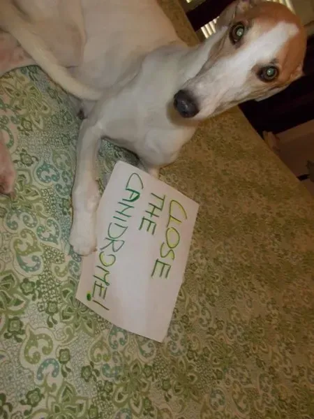 11863412 10206749729214611 8803504627908340405 n