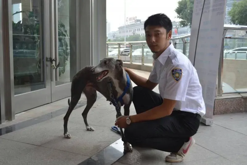 11864772 1749444718616498 4318198868192253849 o