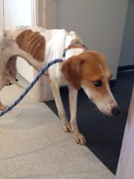 11921613 1072395279444837 7245501520348590968 n