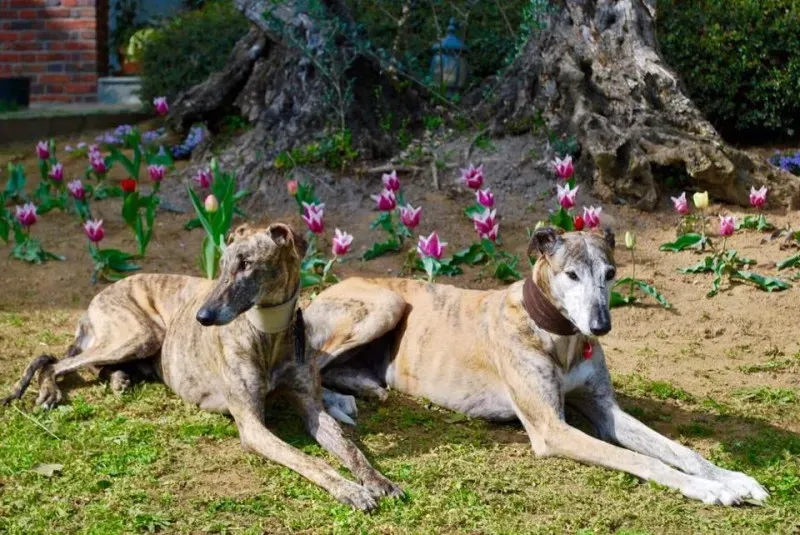 11921803 883595195057670 2871053296590903042 n