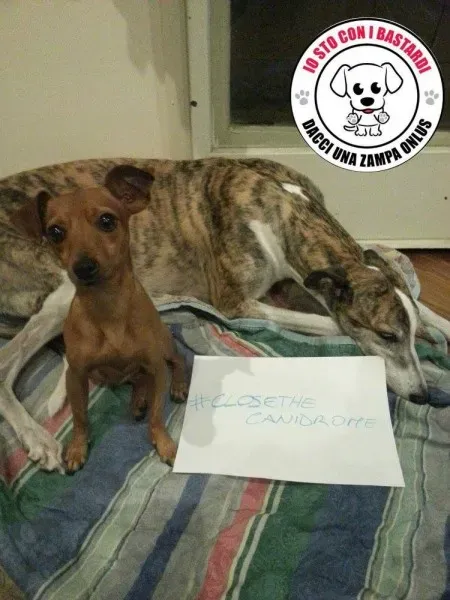 11930829 430142893861153 3047486099778259389 o