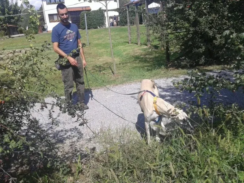 11938011 10206033341226284 8843220851470800520 n