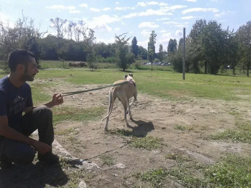 11947475 10206033342146307 422271911845490458 n