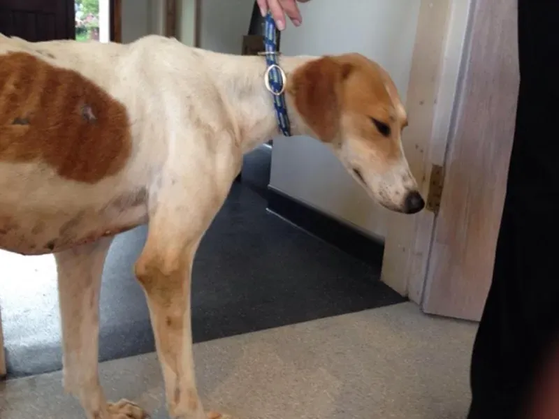 11949326 1072395359444829 8328246548876402332 n