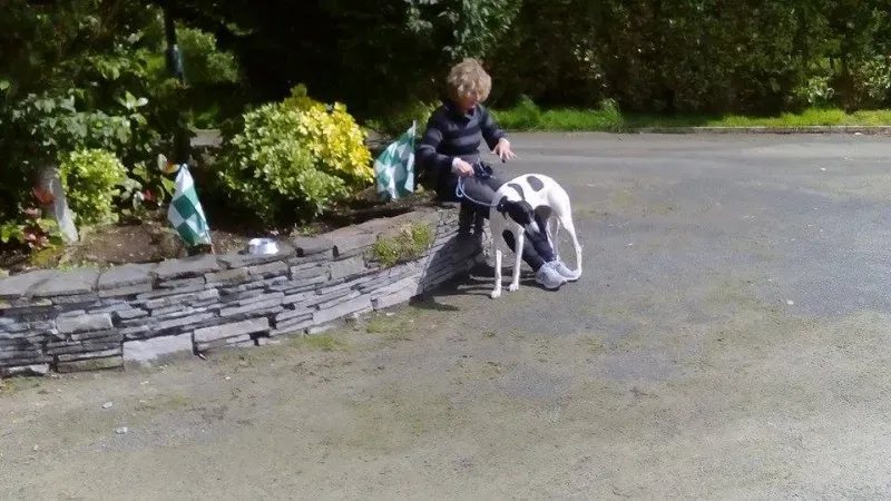 11949565 10153100247478097 793797849 n1